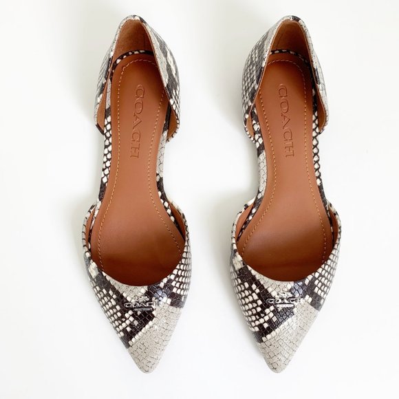 ❌SOLD- COACH Printed Exotic Pointy Toe Flat 5.5 - Picture 2 of 11